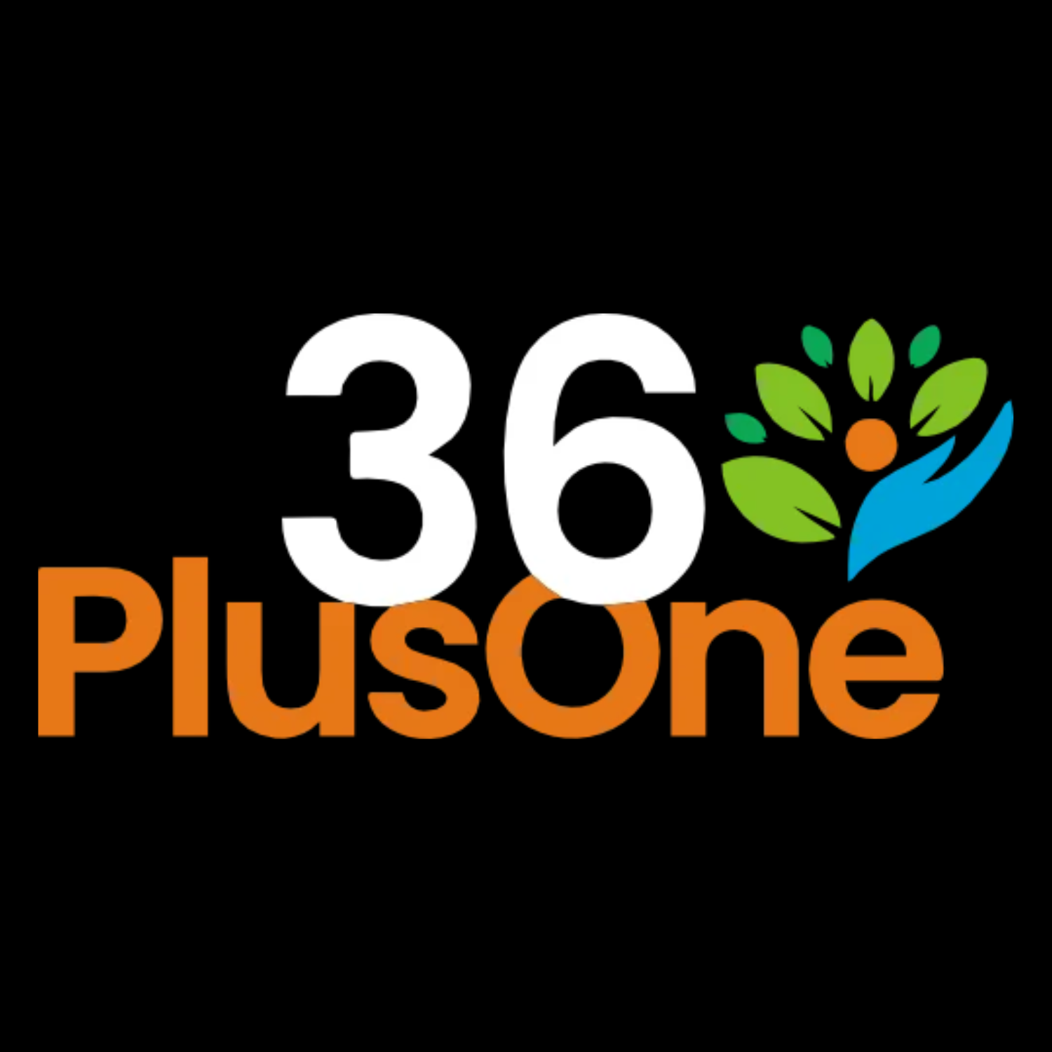 36 Plus One logo